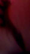 astasiangel Altpins Profile Picture