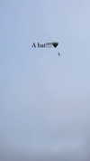 elizabethcampbelljones Altpins Profile Picture