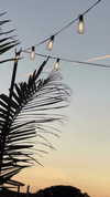 lea.weinberg_ Altpins Profile Picture