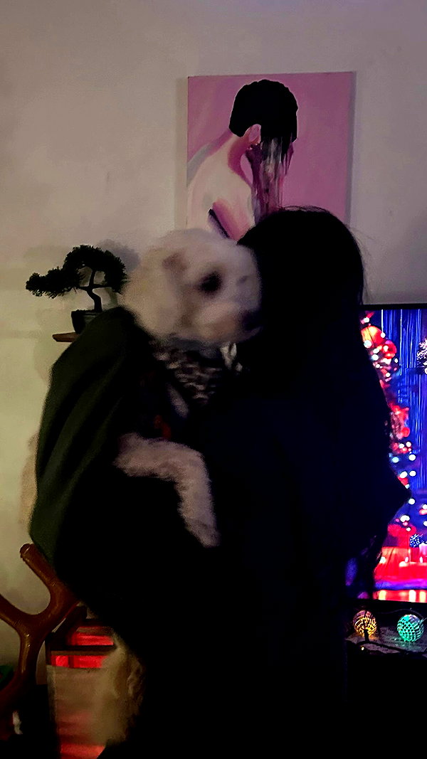 feelbetterinmysweater archive video preview