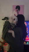feelbetterinmysweater Altpins Profile Picture