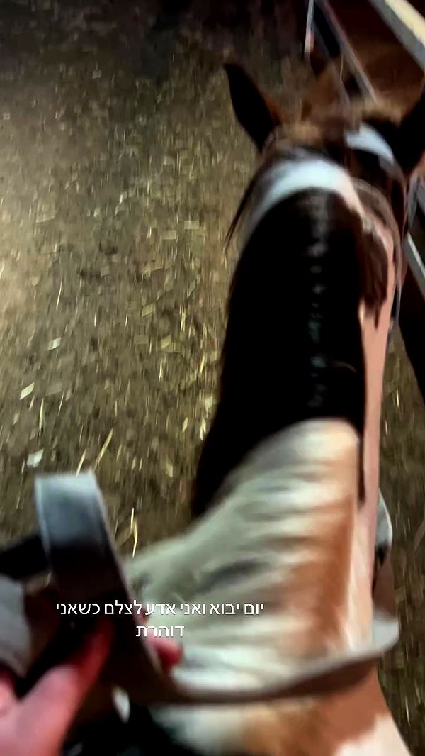 _wizardmidget_ archive video preview