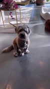 jenniferaniston Altpins Profile Picture
