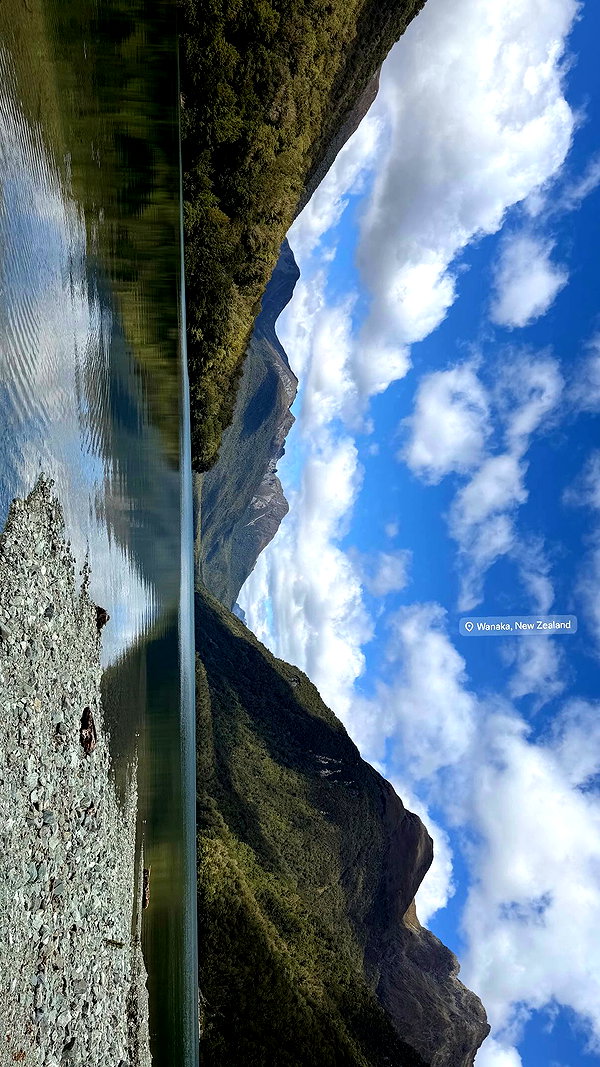 maori_cohen archive video preview