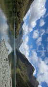 maori_cohen Altpins Profile Picture