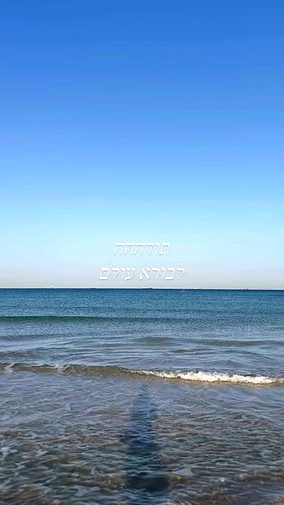 liad.arazi liad.arazi archive video