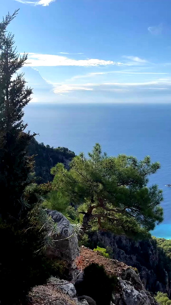 swfx_real archive video preview