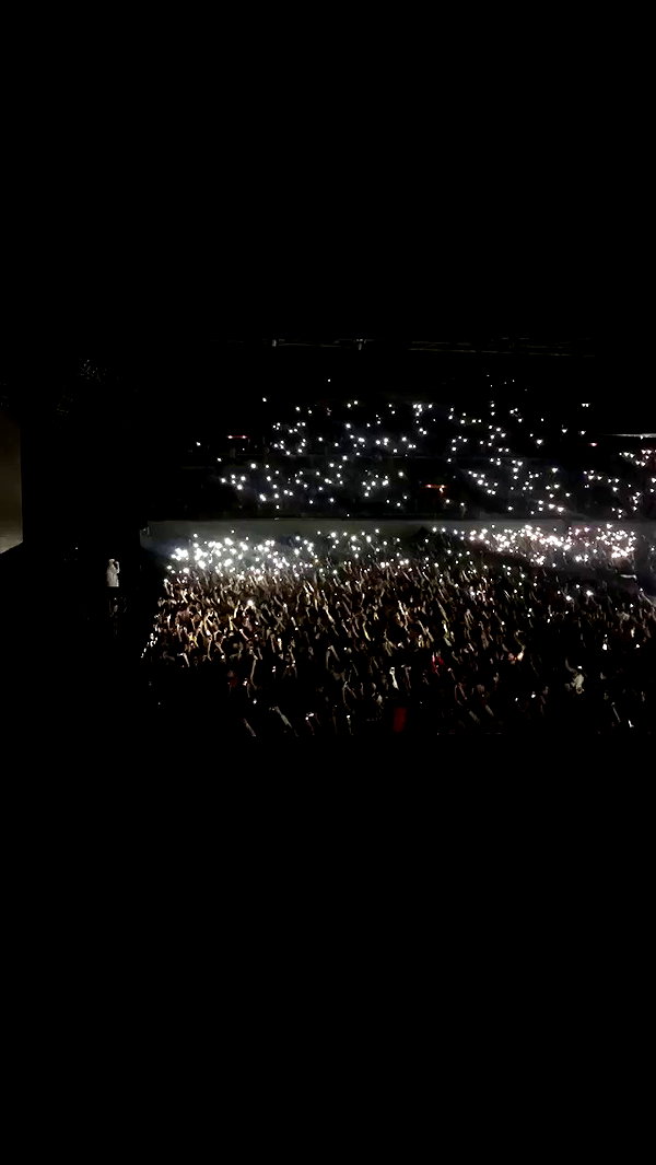 saaay_nas archive video preview