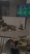 sonia_litvanchuk Altpins Profile Picture