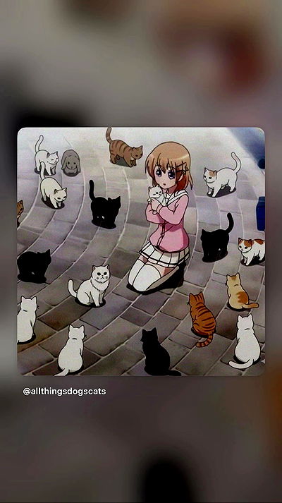 hellokittyangel666 hellokittyangel666 archive video