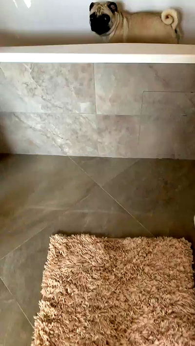 nyityam nyityam archive video