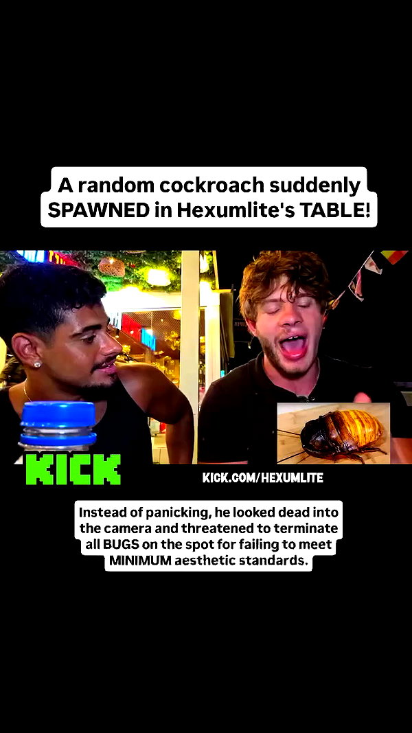 kicknewshub archive video preview