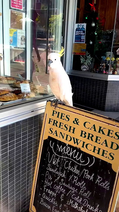 taylor.creeden taylor.creeden archive video