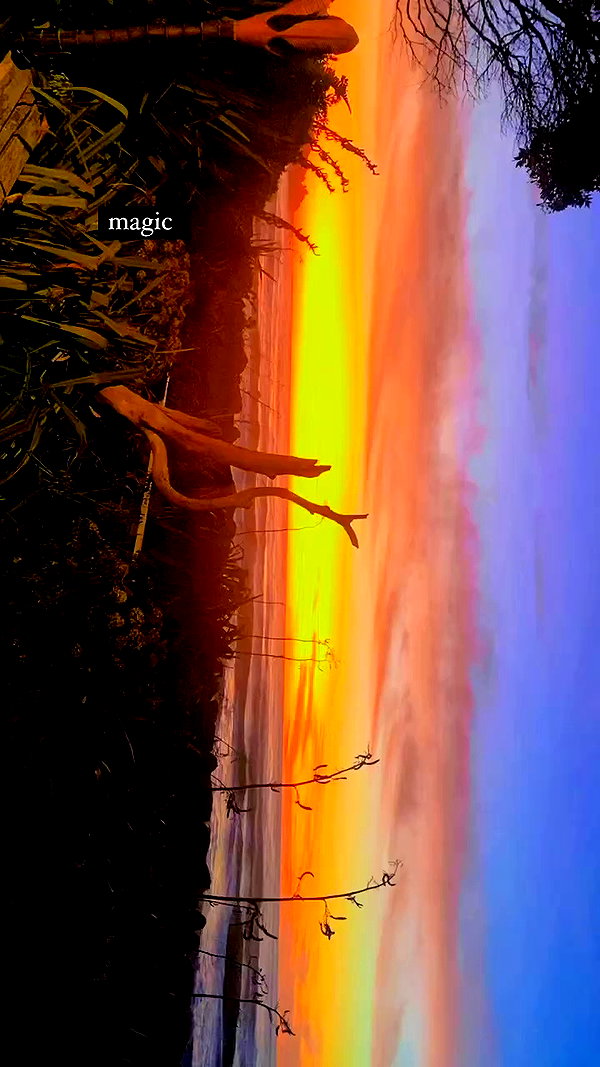 aleiisha.piixiie archive video preview