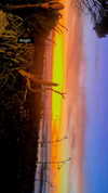 aleiisha.piixiie Altpins Profile Picture