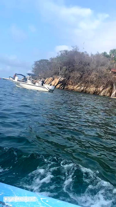 taylor.creeden taylor.creeden archive video