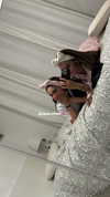 libby_reut Altpins Profile Picture