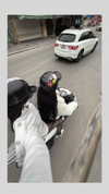 zunxingnhat Altpins Profile Picture