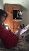 leyla.annemarie Altpins Profile Picture
