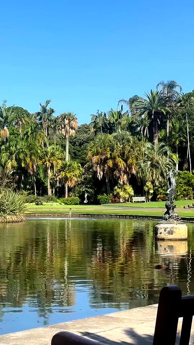 taylor.creeden taylor.creeden archive video