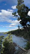 solzarubin_ Altpins Profile Picture