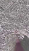 forestowwwl Altpins Profile Picture