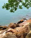 joycee.e Altpins Profile Picture