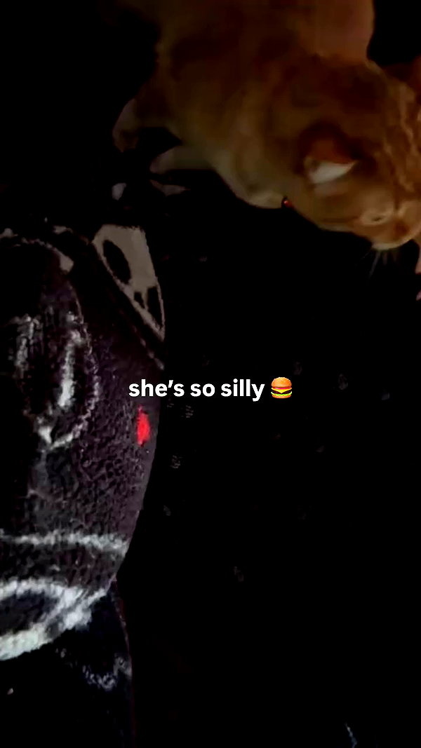 butter.on.a.poptart69 archive video preview
