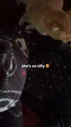 butter.on.a.poptart69 Altpins Profile Picture