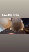 luvstuff3r Altpins Profile Picture