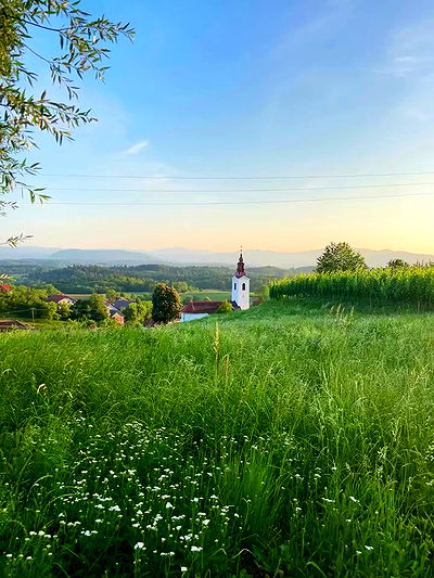 ellamwatts_ ellamwatts_ archive video