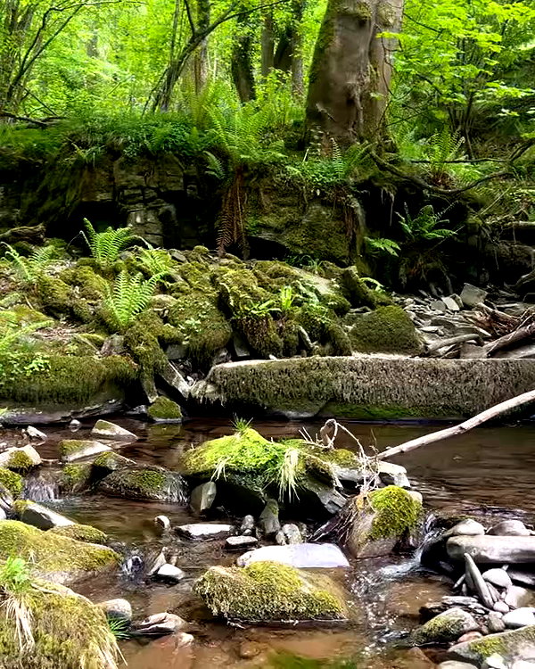 charley.chambers archive video preview
