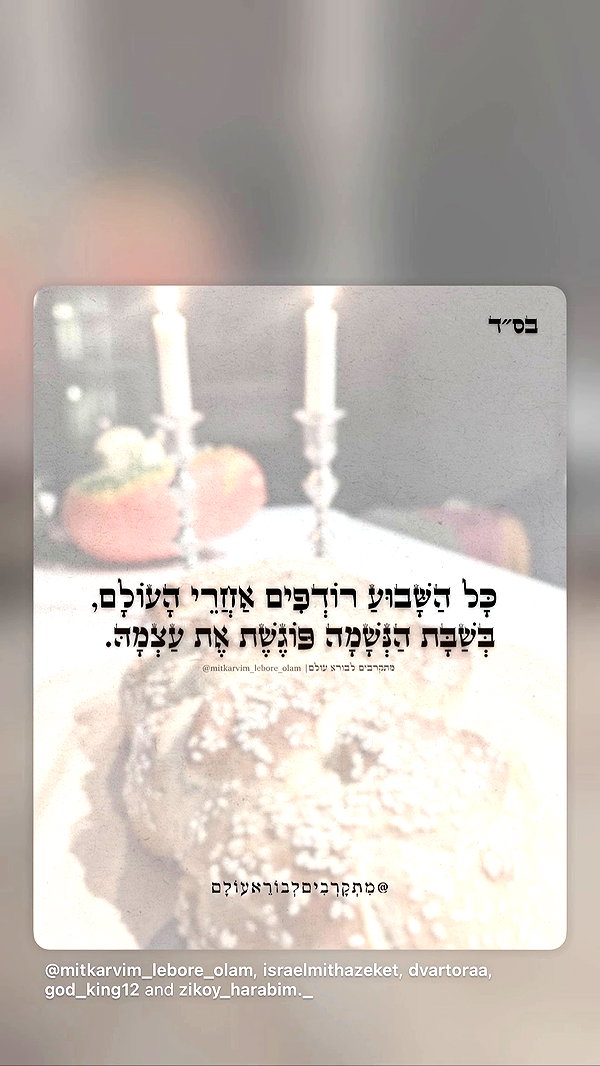 tirtza_cohen archive video preview