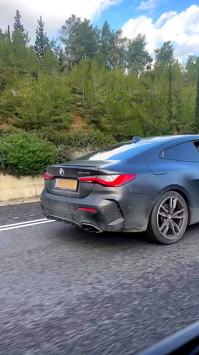 simp_for_cats_ simp_for_cats_ archive video