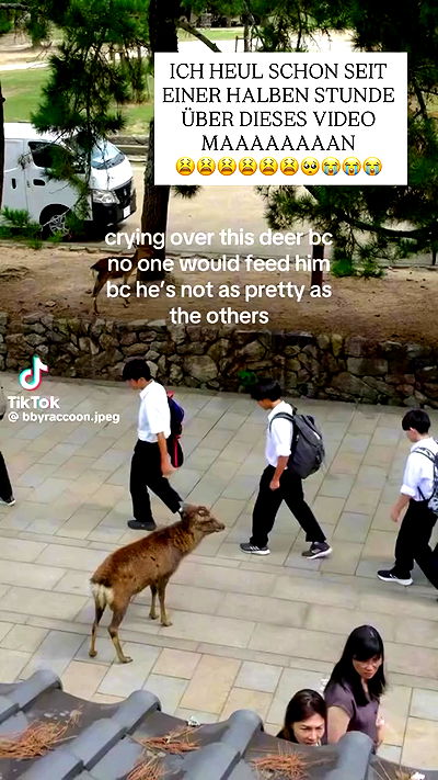 yoo.mon yoo.mon archive video