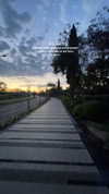 mishel_d_ Altpins Profile Picture
