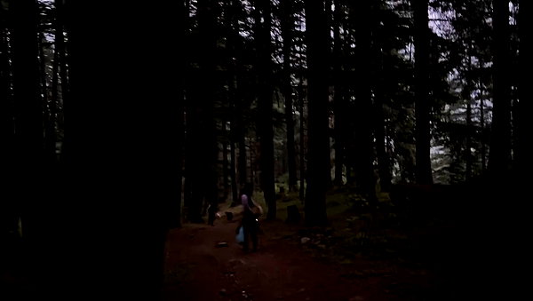 talya.fridland archive video preview