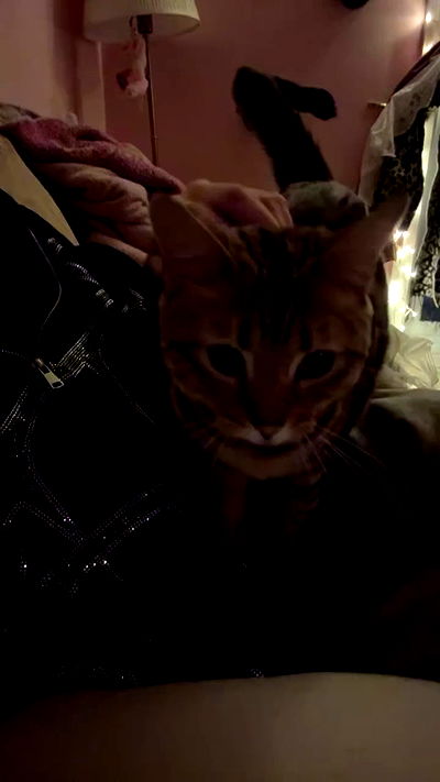 laurinchhhe laurinchhhe archive video