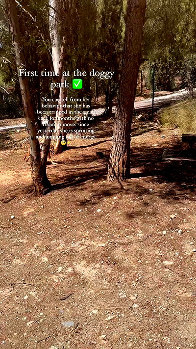 manjolamuriqi manjolamuriqi archive video