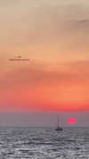 sonia_litvanchuk Altpins Profile Picture
