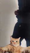 avitallllllllllllllll Altpins Profile Picture