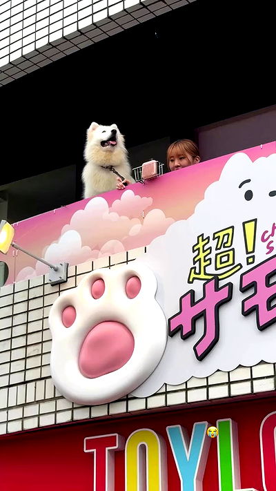 taylor.creeden taylor.creeden archive video