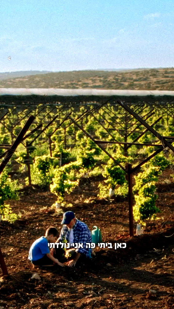 tali_grapes archive video preview