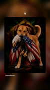 gabnoyr Altpins Profile Picture