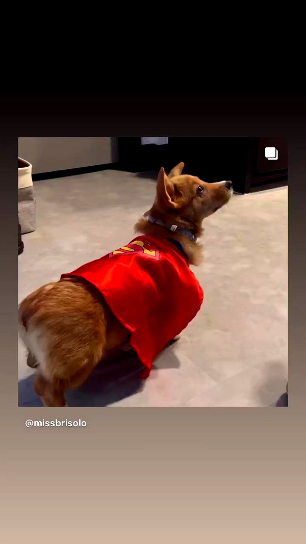 missbrisolo archive video preview