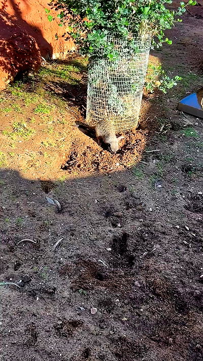 feelbetterinmysweater feelbetterinmysweater archive video