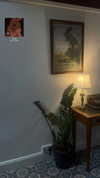 livindeadyaz Altpins Profile Picture