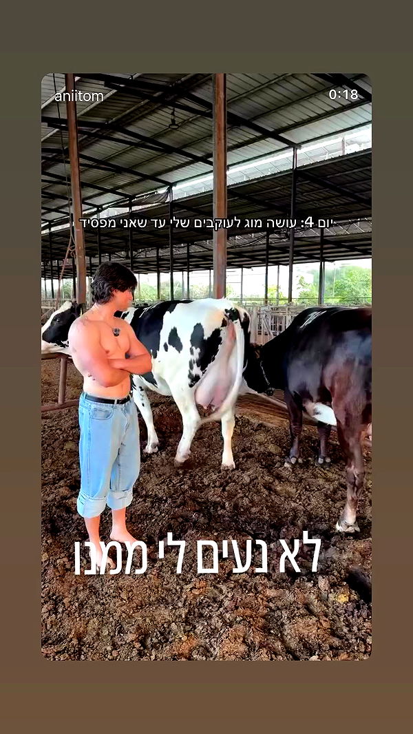 yannaidebeer archive video preview