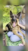 emily_new2 Altpins Profile Picture