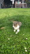 yasminhilde_ Altpins Profile Picture
